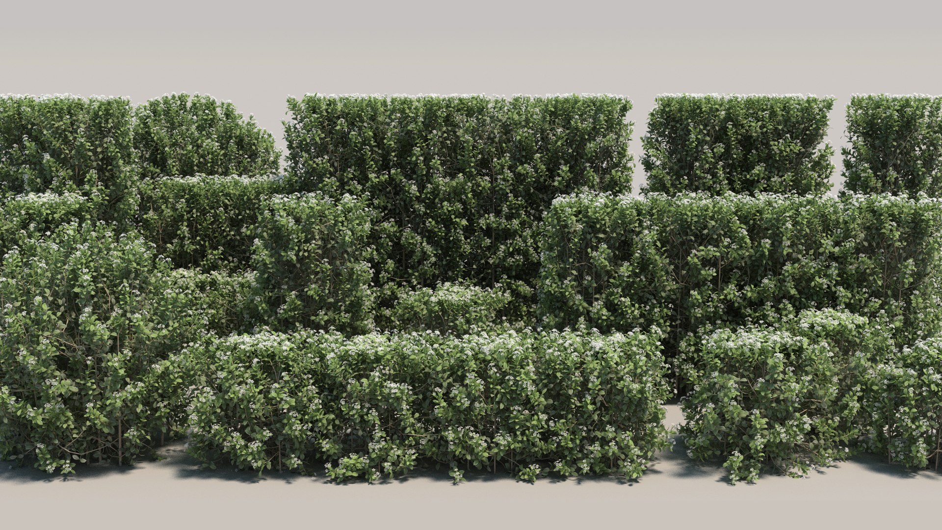 3d max 20 picea glauca tree https://p.turbosquid.com/ts-thumb/em/EUjL1M/tx/03/jpg/1670763097/1920x1080/fit_q87/ee813c7eba94039d2965976dcef83c81ac33e136/03.jpg