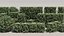 60 Summer Hedge Bushes