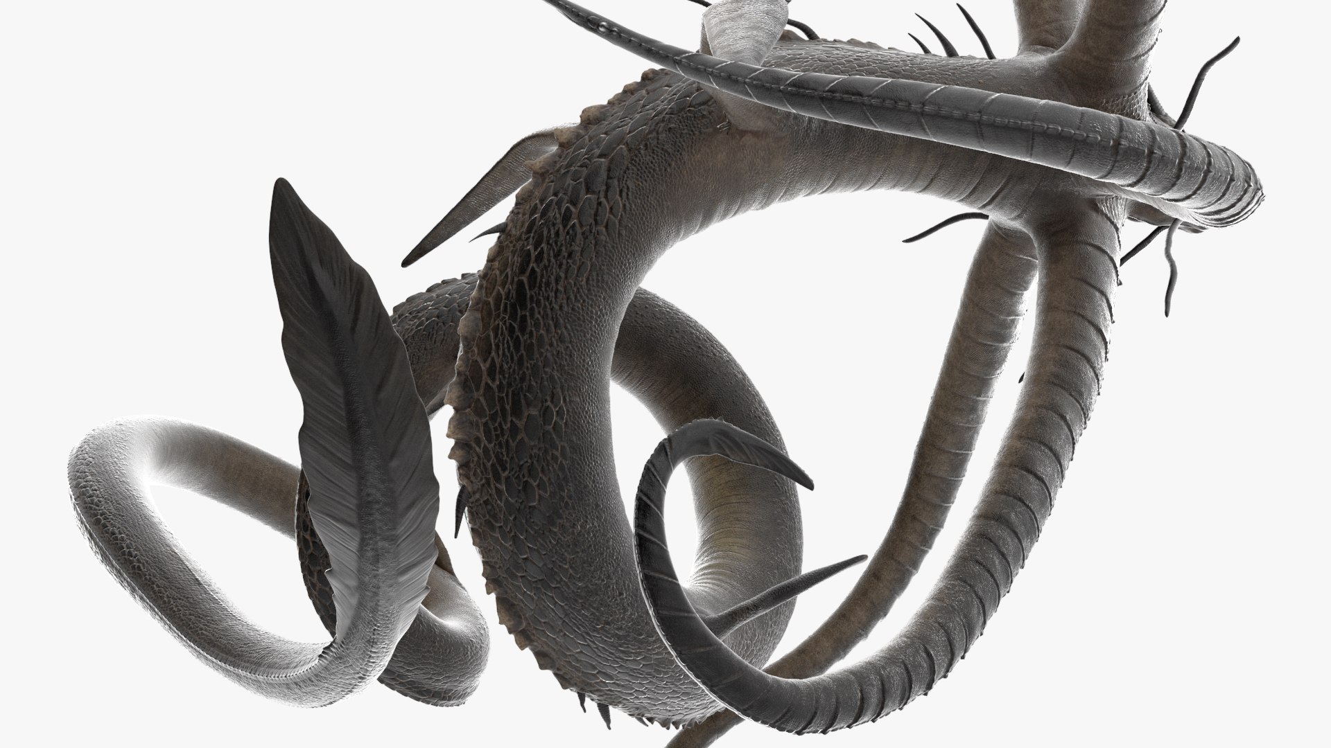 Mythical Sea Leviathan Serpent Form Black Rigged for Cinema 4D 3D model https://p.turbosquid.com/ts-thumb/em/JP3iwC/uu/mythical_sea_leviathan_serpent_form_black_rigged_009/jpg/1760276388/1920x1080/fit_q87/8c25a44037b08d8d093c115ce28ce6bc88ce41af/mythical_sea_leviathan_serpent_form_black_rigged_009.jpg