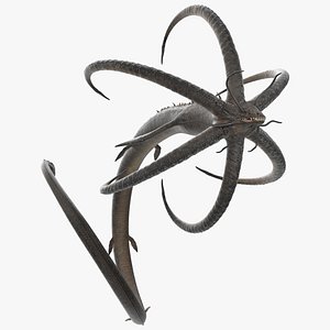 Mythical Sea Leviathan Serpent Form Black Rigged for Cinema 4D 3D model