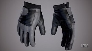 Gloves 01b