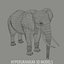 ELEFANT
