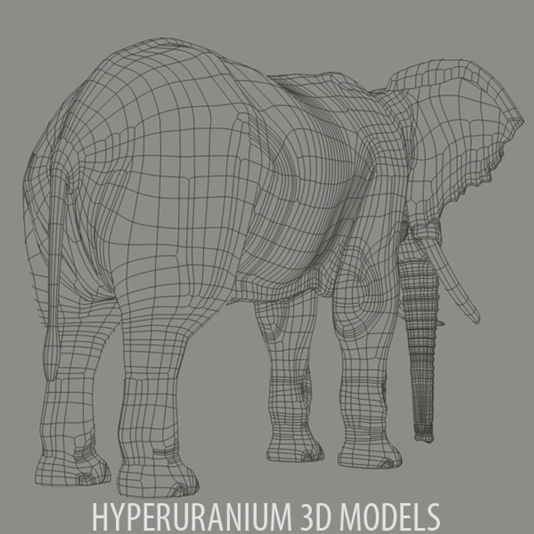 african elephant 3d model https://p.turbosquid.com/ts-thumb/em/aCNpue/NbPP1LGA/elephant_v2_2011_wire_04/png/1294966814/1920x1080/fit_q87/fe00264d70efdfcc6abbd552dcce002743317aed/elephant_v2_2011_wire_04.jpg