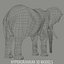 ELEFANT