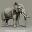 ELEFANT