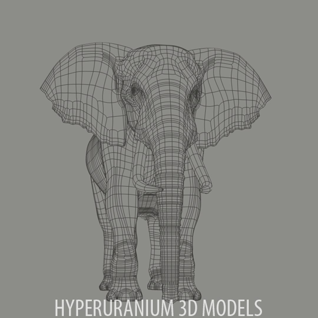 african elephant 3d model https://p.turbosquid.com/ts-thumb/em/aCNpue/efem3UwS/elephant_v2_2011_wire_02/png/1294966814/1920x1080/fit_q87/cd60651a717a91220e4209af55f3e40b2d409724/elephant_v2_2011_wire_02.jpg