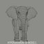 ELEFANT