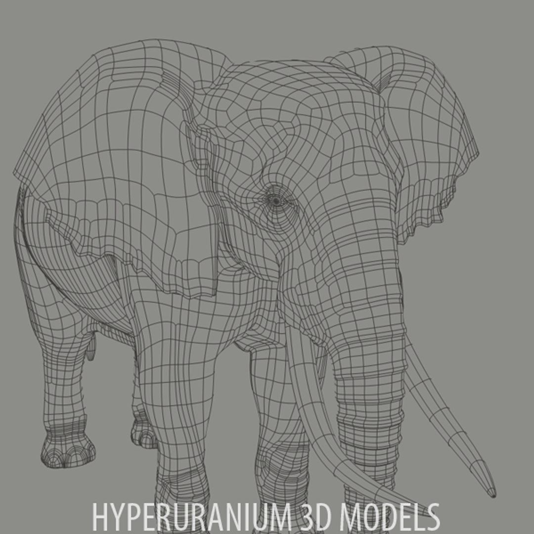 african elephant 3d model https://p.turbosquid.com/ts-thumb/em/aCNpue/y6ONgihw/elephant_v2_2011_wire_06/png/1294966814/1920x1080/fit_q87/8c5f5c319d1cb9fc263ead30d0d054b8beb331a0/elephant_v2_2011_wire_06.jpg