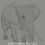 ELEFANT