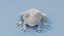 Modelo 3D de malla base animada y montada de rana de dibujos animados