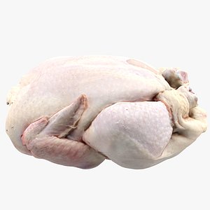 Raw Chicken