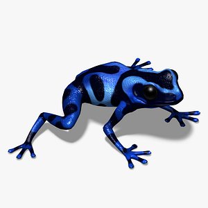 Dendrobate Auratus 3D