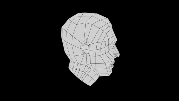 modelo 3d Basic Human Head gratis - TurboSquid 1965824