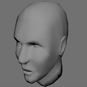 Basic Human Head