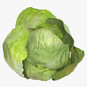 Lettuce 04 Open 3D