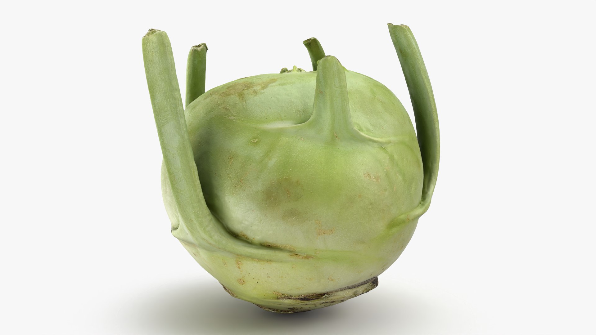 Kohlrabi German Turnip Collection 3D model https://p.turbosquid.com/ts-thumb/em/z1NDLH/QD/kohlrabi02_0001/png/1789551131/1920x1080/fit_q87/af0d5bee7fd84c6f0de6121323145d95c3faf14d/kohlrabi02_0001.jpg
