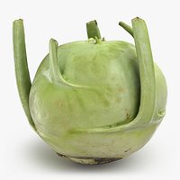 Kohlrabi German Turnip 02 - 3D Scanned