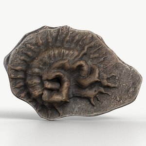 Fungus Fossil Textured 124 3D model