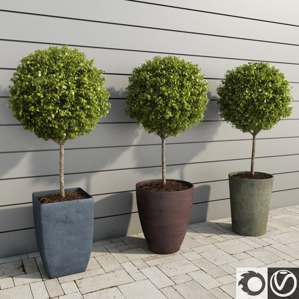 3D модель Stylized Square Bush V1 - TurboSquid 2094291
