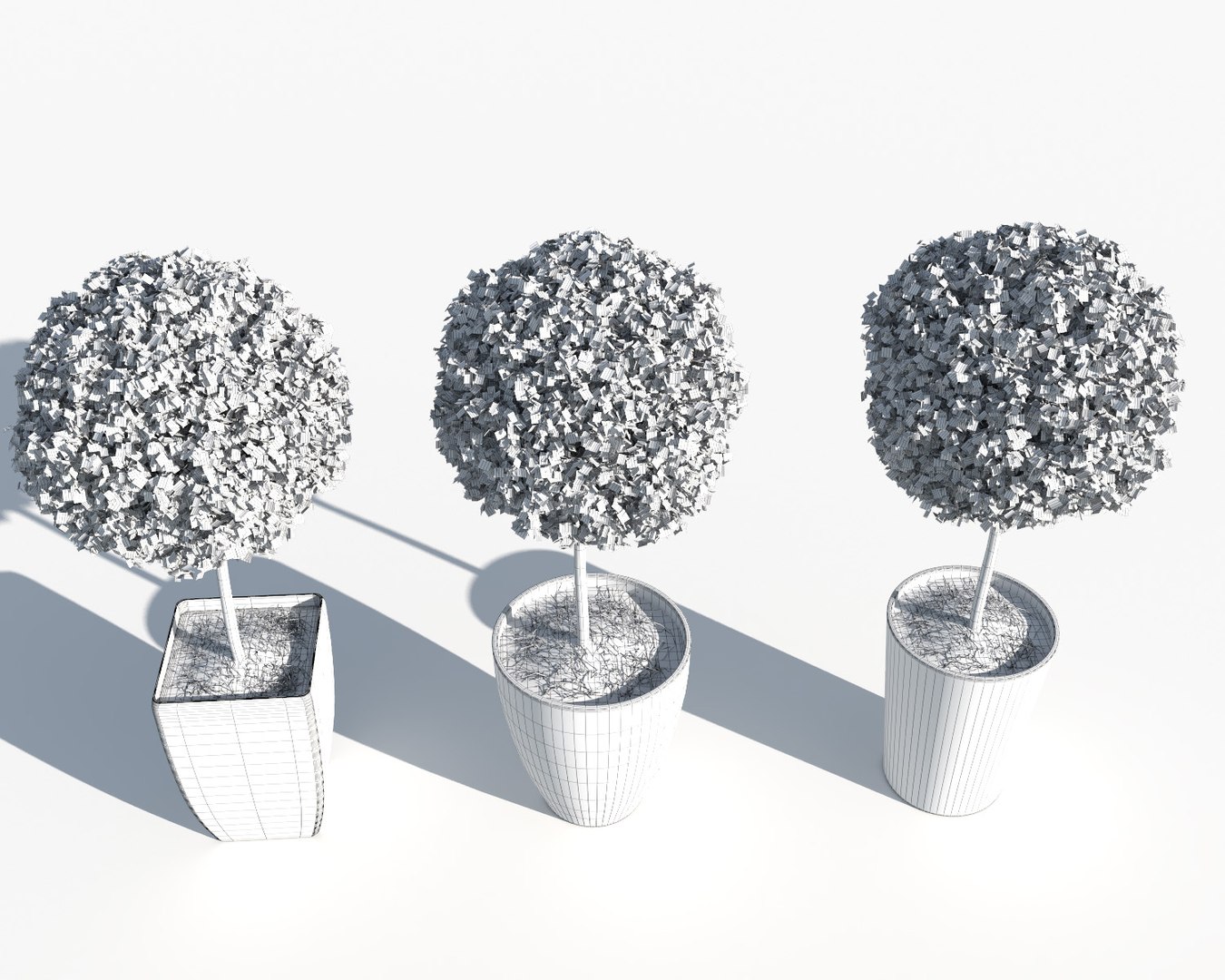 outdoor plants boxwood trees 3d model https://p.turbosquid.com/ts-thumb/en/73OdaA/rjWJ3NYh/o_plant_11/jpg/1479841228/1920x1080/fit_q87/2967e9e1a20a8260bda04d8f6feb14d8959925cd/o_plant_11.jpg