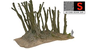 scanned ultra 16k 3d model