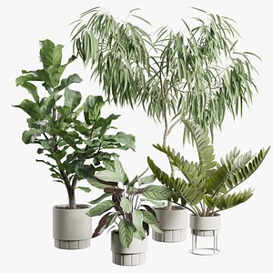 Indoor Plants Pack 106 model
