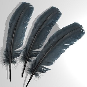 bird feathers 3d model
