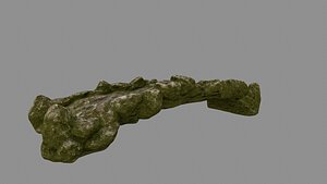 old bridge