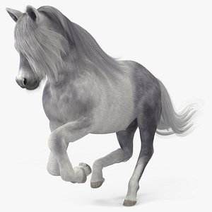 3D Galloping White Pony with Long Mane Fur model