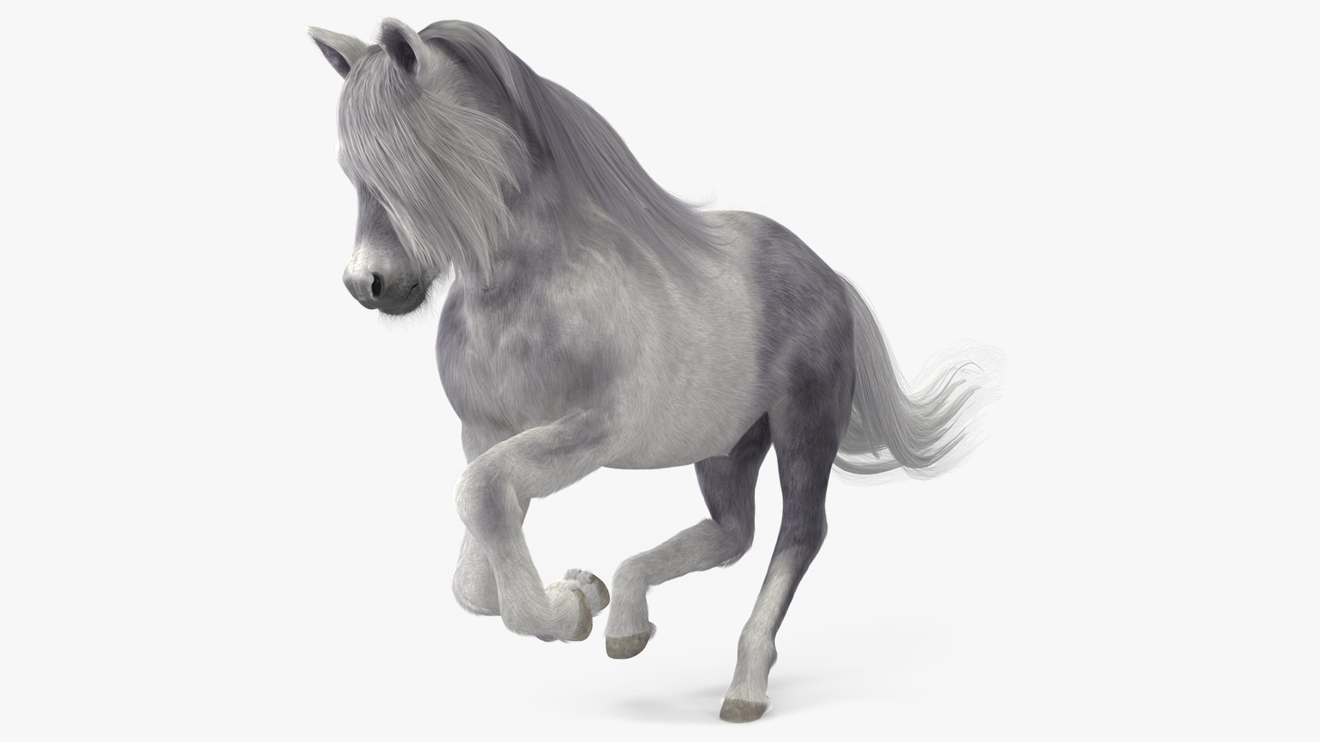 Galloping White Pony with Long Mane Fur 3D model preview