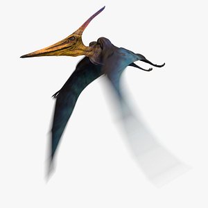 3D pteranodon longiceps cyan animation flying