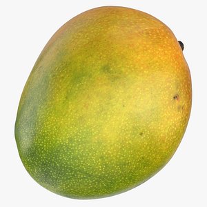 Mango 02