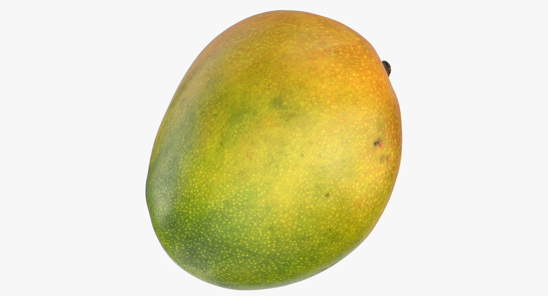 mango 02 3D https://p.turbosquid.com/ts-thumb/en/Y0Mm5Y/ES3jYiuC/mango_02_thumbnail_0000/jpg/1557837071/1920x1080/fit_q87/352241f600adc0f730ab918c47ade30e6c793307/mango_02_thumbnail_0000.jpg