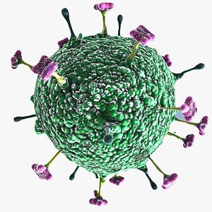 Nipah Virus