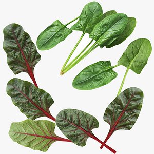 Spinach and Chard Collection