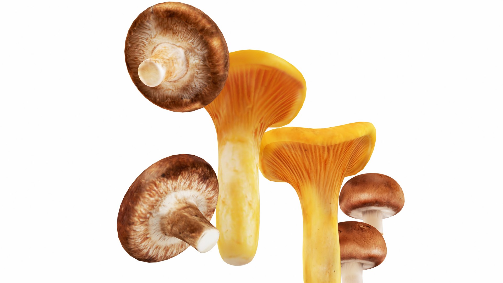 3D Mushrooms https://p.turbosquid.com/ts-thumb/en/mC6ZS7/4A/mushrooms11/jpg/1767123983/1920x1080/fit_q87/41f58b4ef62b25db2ed54a39b533012920f2908c/mushrooms11.jpg
