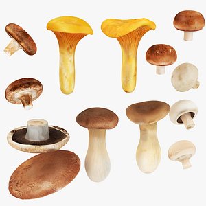 Mushrooms