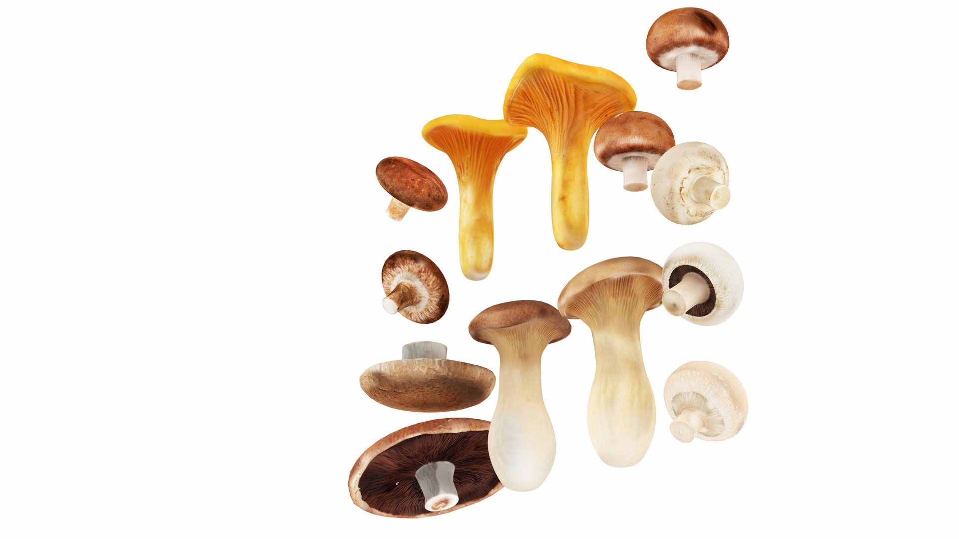 3D Mushrooms https://p.turbosquid.com/ts-thumb/en/mC6ZS7/4J/mushrooms4/jpg/1767123977/1920x1080/fit_q87/2238074c2b69affb7546f5abba78834a2f8c9152/mushrooms4.jpg