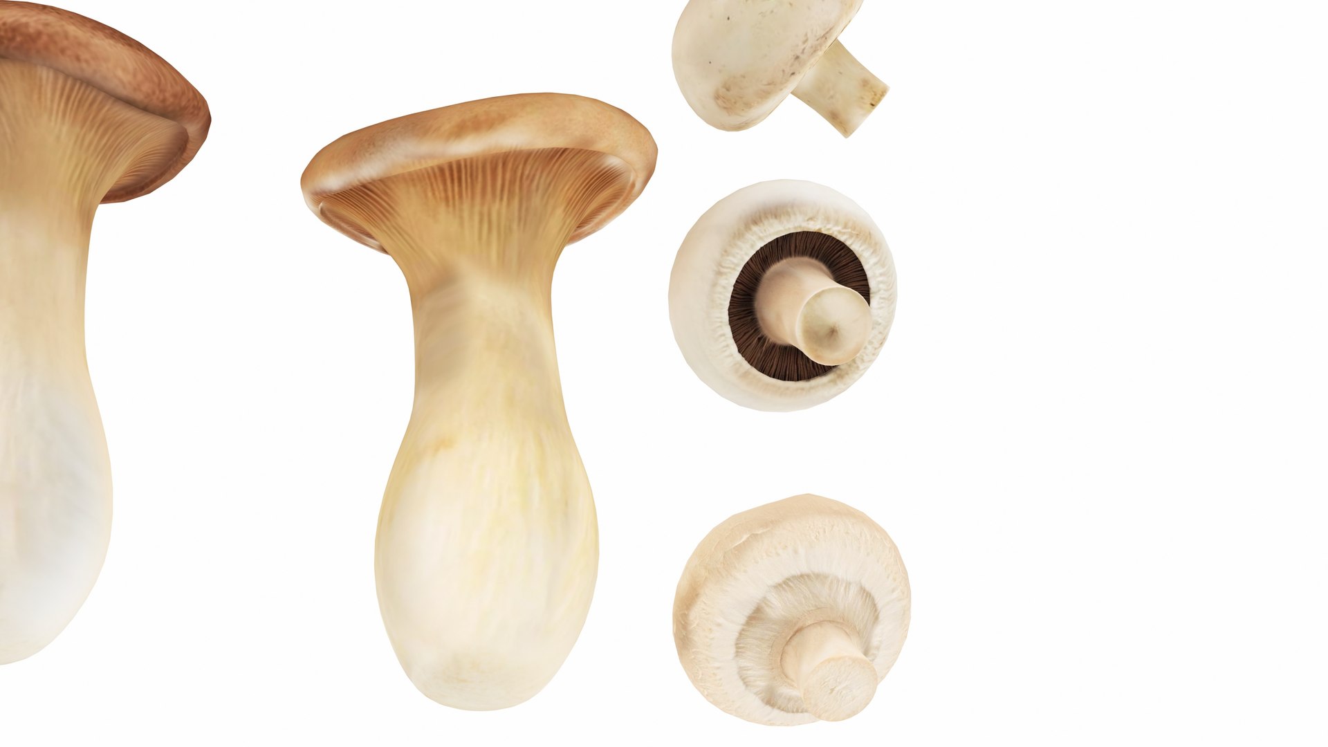 3D Mushrooms https://p.turbosquid.com/ts-thumb/en/mC6ZS7/6a/mushrooms8/jpg/1767123981/1920x1080/fit_q87/cca7cb78dab6fde255af7f040939c2f623f38761/mushrooms8.jpg