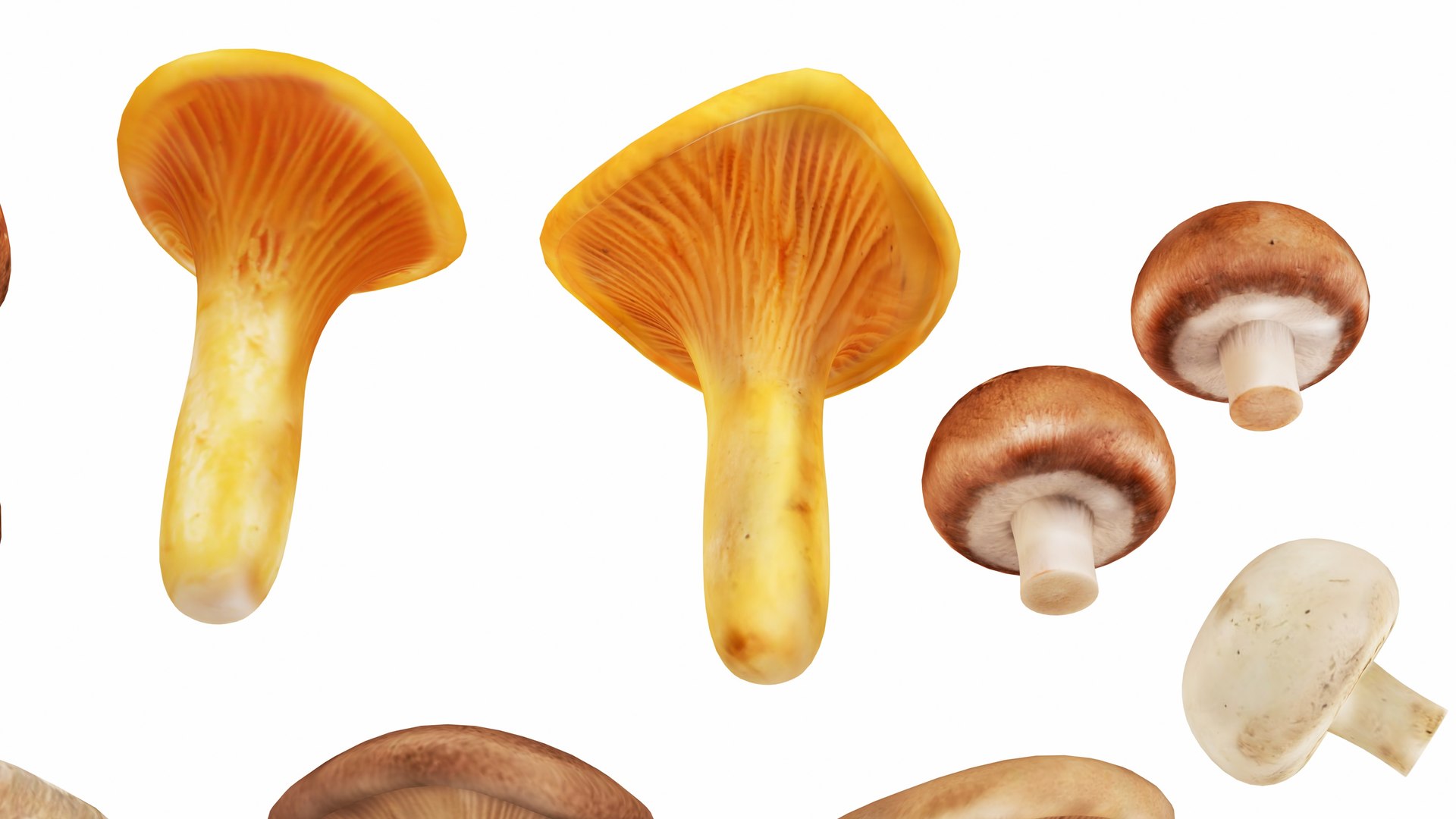 3D Mushrooms https://p.turbosquid.com/ts-thumb/en/mC6ZS7/AB/mushrooms10/jpg/1767123982/1920x1080/fit_q87/c1961884eec34f957b2bee30aa89392eb0a3d561/mushrooms10.jpg