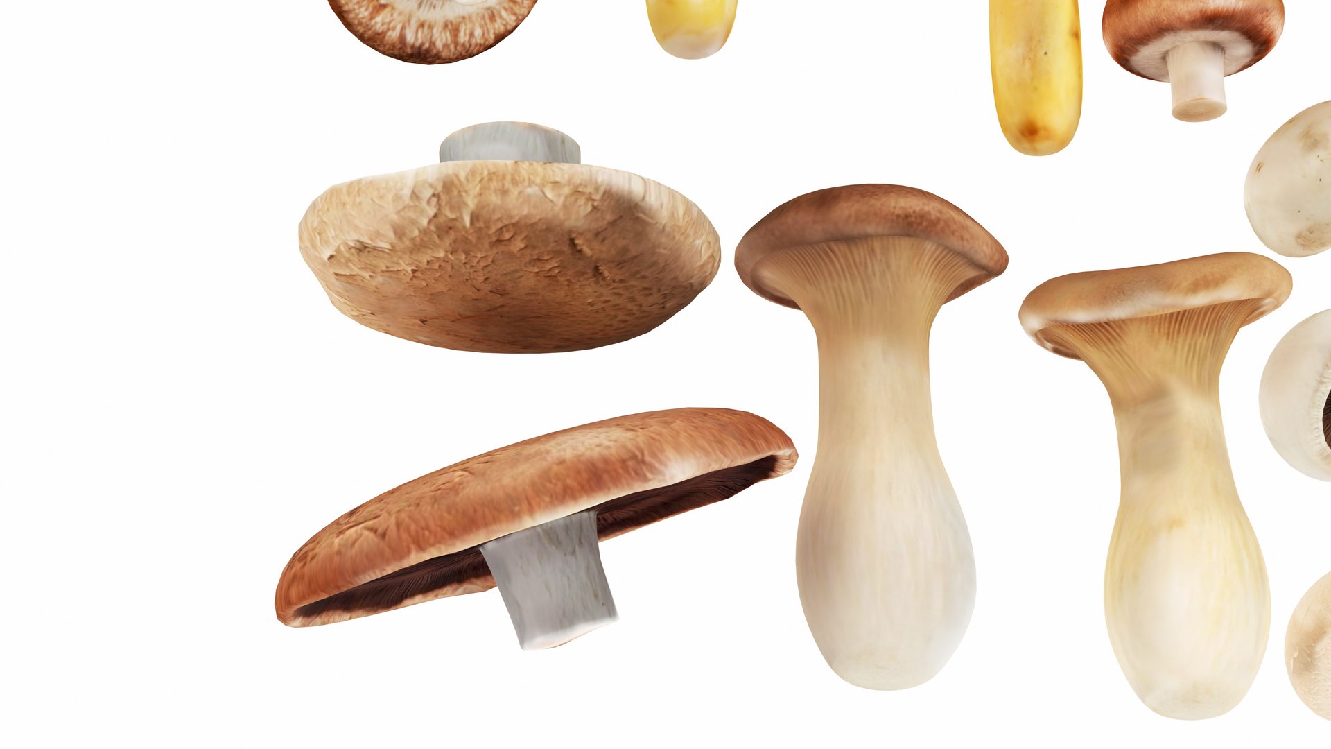 3D Mushrooms https://p.turbosquid.com/ts-thumb/en/mC6ZS7/Tj/mushrooms9/jpg/1767123983/1920x1080/fit_q87/8328cbe38e49bfb0ba028f48199c5eec267feacf/mushrooms9.jpg