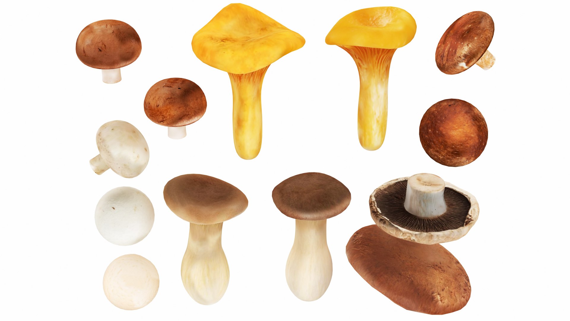3D Mushrooms https://p.turbosquid.com/ts-thumb/en/mC6ZS7/Wm/mushrooms5/jpg/1767123979/1920x1080/fit_q87/084d71c9162df7bbdbd0b56c10fbaec85c8dea89/mushrooms5.jpg