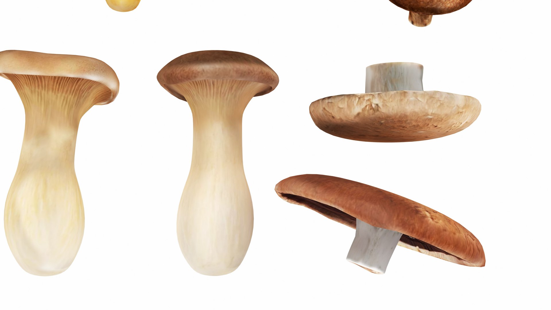 3D Mushrooms https://p.turbosquid.com/ts-thumb/en/mC6ZS7/iO/mushrooms6/jpg/1767123979/1920x1080/fit_q87/8d615251df6536cd93bc8dd53763d39298ebd0ba/mushrooms6.jpg
