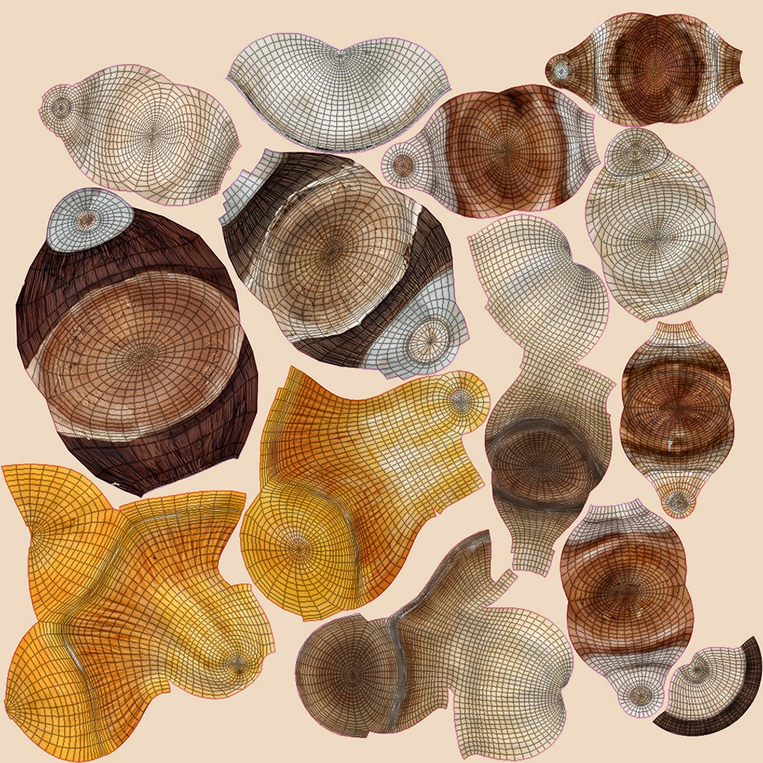 3D Mushrooms https://p.turbosquid.com/ts-thumb/en/mC6ZS7/jW/mushrooms2/jpg/1767125224/1920x1080/fit_q87/9b0e1e7472bc42d317ba2281268672cbcaec0652/mushrooms2.jpg