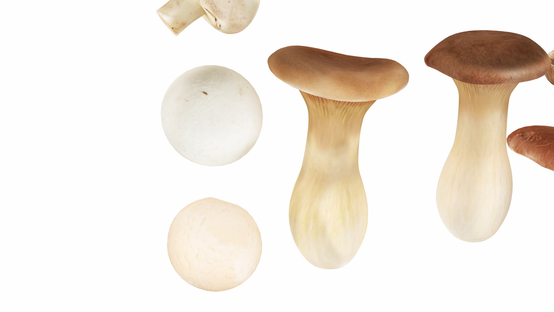 3D Mushrooms https://p.turbosquid.com/ts-thumb/en/mC6ZS7/qm/mushrooms7/jpg/1767123979/1920x1080/fit_q87/d9789434aab4f3f79fe8cfb0b52d5865473a84de/mushrooms7.jpg
