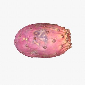 3D Prickly pear 01 high-poly model