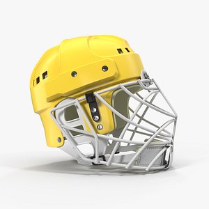 3D ice hockey helmet protective model