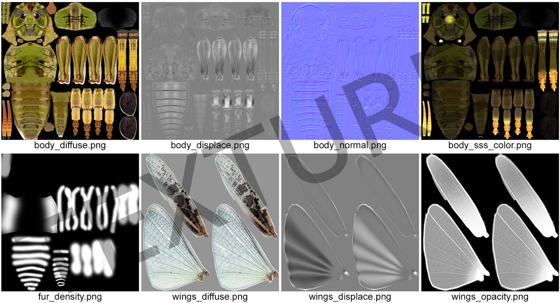 common field grasshopper model https://p.turbosquid.com/ts-thumb/en/x2jjrb/Y1nbH8Ci/commonfieldgrasshopper3dsmodel011/jpg/1511995049/1920x1080/fit_q87/0bcbe2b20c445be724af2a467008d84ee0b00302/commonfieldgrasshopper3dsmodel011.jpg