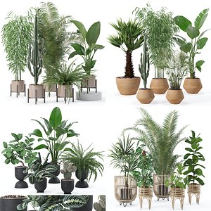 20 Photorealistic Flowers for Interiors - set 124 129 136 137