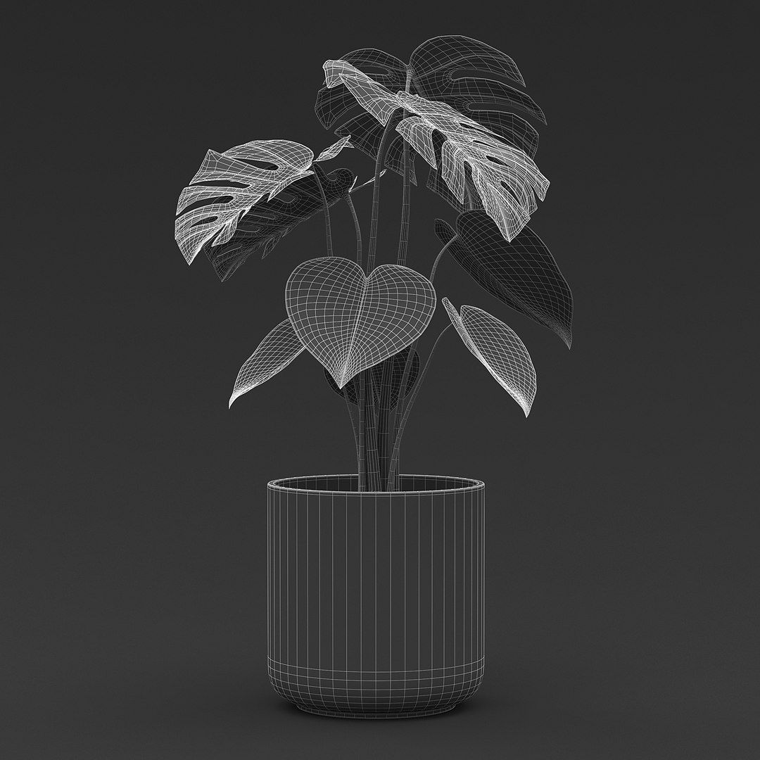Cheese Plant II 3D model https://p.turbosquid.com/ts-thumb/eo/HJBcnl/80/cheeseplant2_g1/jpg/1681238576/1920x1080/fit_q87/2c99395f99bc9c0cf19b32a6199830d40704cfcc/cheeseplant2_g1.jpg